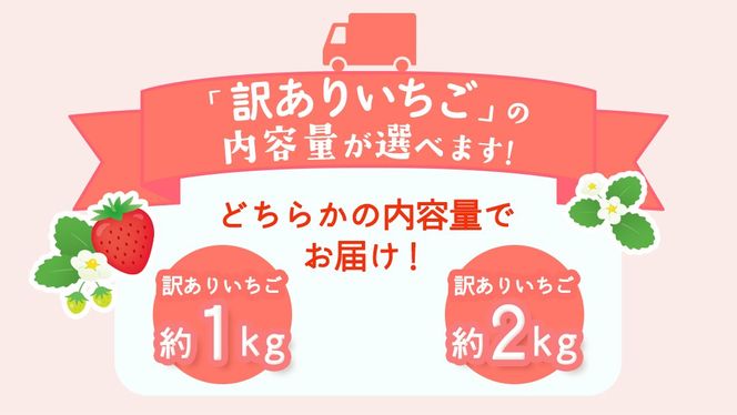 ＼選べる 内容量／訳ありいちご 約1kg または 約2kg【2027年1月から発送開始】（茨城県共通返礼品 [いちご]：城里町産） いちご イチゴ 苺 訳あり 不揃い 家庭用 大容量 お得 ふるさと納税