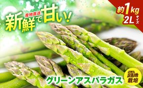 【2026年5月発送】北海道 富良野産 露地 グリーン アスパラ 2Lサイズ約1kg 野菜 アスパラガス