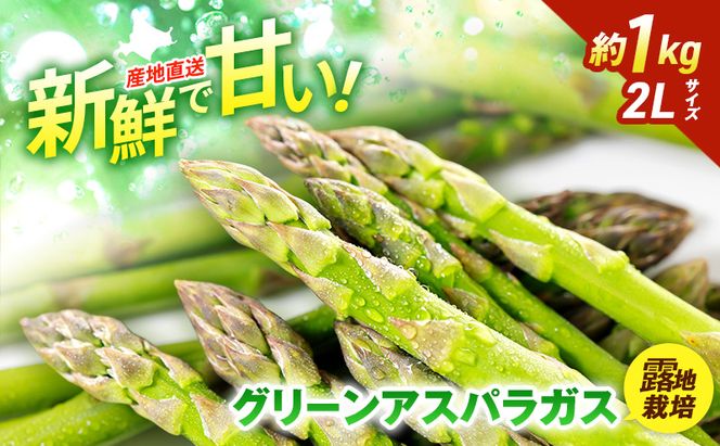 【2026年5月発送】北海道 富良野産 露地 グリーン アスパラ 2Lサイズ約1kg 野菜 アスパラガス