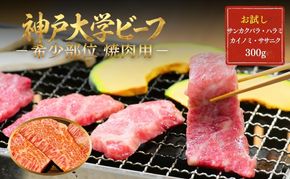 神戸牛 神戸大学ビーフ 希少部位 焼肉用 お試し 300g サンカクバラ カイノミ ササニク ハラミ 神戸ビーフ 牛肉 お肉 肉 焼き肉 アウトドア キャンプ BBQ ブランド牛 但馬牛