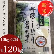【12月末まで】【毎月1回お届け】【定期便】令和7年産 新米 京都丹波米 こしひかり10kg×12回 計120kg 米 12ヶ月 白米 12回定期便 ※精米したてをお届け コシヒカリ ※北海道・沖縄・離島への配送不可