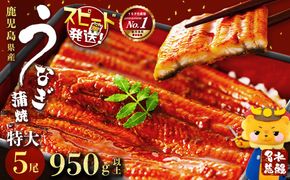 鹿児島県産うなぎ蒲焼 名水慈鰻 特大5尾(1尾190g以上)＜計950g以上＞ c5-035