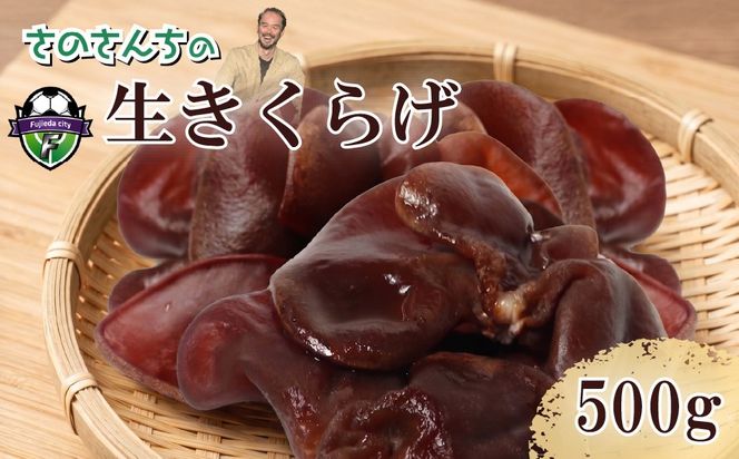 生キクラゲ 500g きくらげ キクラゲ 生きくらげ 木耳 さのさんち きのこ JGAP認証農場 国産 キノコ 調理 料理 中華 ポン酢 ナムル スープ 静岡県 藤枝市