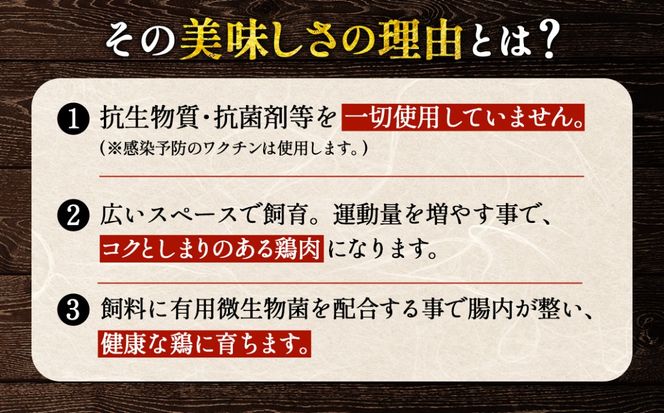 【毎月定期便（12ヵ月）】恵那どり　手羽中　冷凍　バラ凍【1kg】  [No.1142]