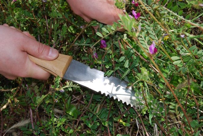 お庭ホリホリ グランドナイフ