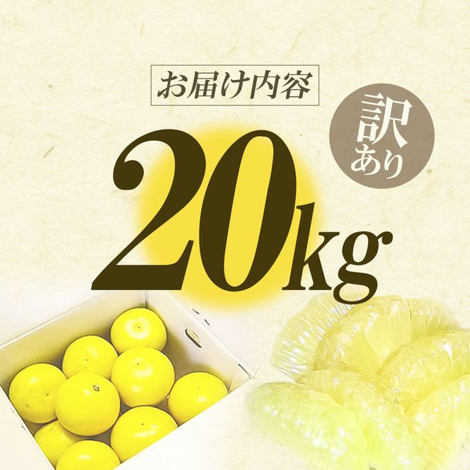 【CF-R7hbk】【先行予約】高知県産　訳あり土佐文旦20kg(10kg×2箱)