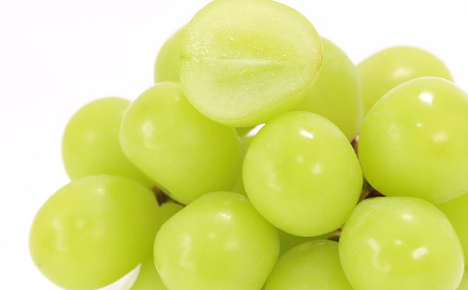 ぶどう 2026年 先行予約 シャイン マスカット 晴王 約500g×2房 種無し ブドウ 葡萄  岡山県産 国産 フルーツ 果物 ギフト 