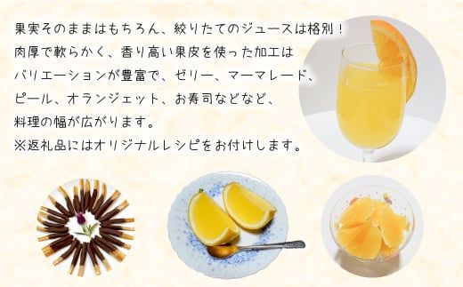 淡路島なるとオレンジ 4kg 【発送時期2026年3月～4月頃】