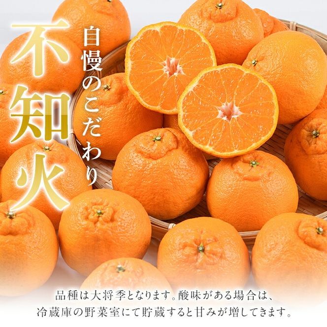 ＜先行予約受付中！2027年4月上旬以降順次発送予定＞ ＼テレビで紹介されました！／数量限定！冷蔵不知火「クールな大将季」(計約3kg) 国産 みかん ミカン 柑橘 フルーツ 果物 旬 デザート 露地 しらぬい シラヌイ 期間限定【三笠農業生産】akn051-06