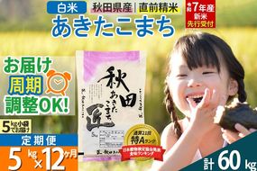 【白米】＜令和7年産 新米予約＞ 《定期便12ヶ月》秋田県産 あきたこまち 5kg (5kg×1袋)×12回 5キロ お米【お届け周期調整 隔月お届けも可】 新米|02_snk-010312s