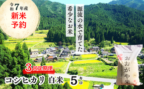 《令和7年産新米予約・10月ごろよりお届け開始》【3回定期便】白米 5kg 令和7年産 コシヒカリ 岡山 「おおがや米」生産組合 G-af-BECA 