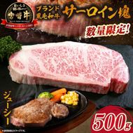【数量限定】宮崎牛サーロイン塊 500g　（宮崎牛 黒毛和牛 和牛 サーロイン ）
