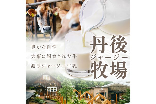 ジャージーミルクピス(500ml×4本セット)化粧箱入  ミルクピス 乳製品 丹後ジャージー牧場 ミルク工房そら ジャージー牛乳の美味しさ広がる 乳酸菌ドリンク 乳酸菌飲料　TJ00017