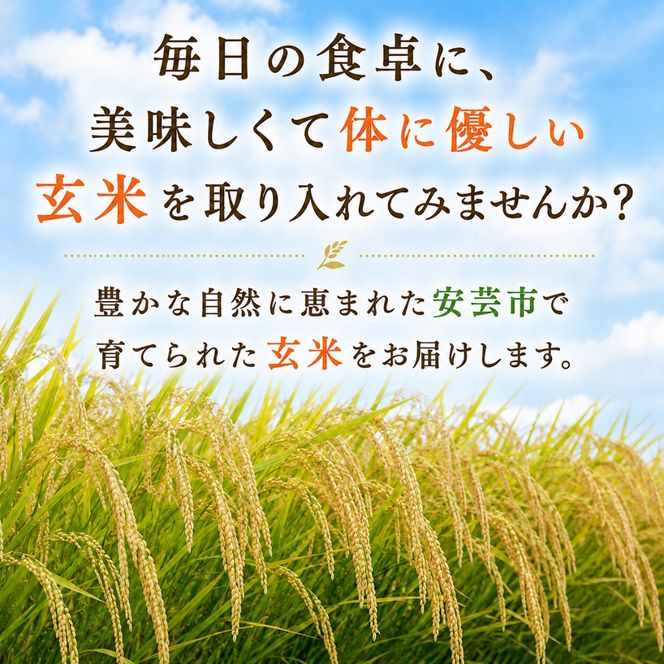 【先行受付】 玄米 令和8年産 こしひかり 選べる 5kg 10kg 安芸産 定期便 6回 4回 3回 1回 お米 精米 新米 ごはん ご飯 高知県産 弁当 おにぎり 料理 新嘗祭皇室献上米 令和8年  健康志向 もちもち食感 美味しい 農家直送 先行予約 おにぎり 高級米 ブランド米 冷めても美味しい 炊き立て 食べ比べ 人気 おすすめ 贈答用 ギフト お米の定期便人気 安芸市 高知県