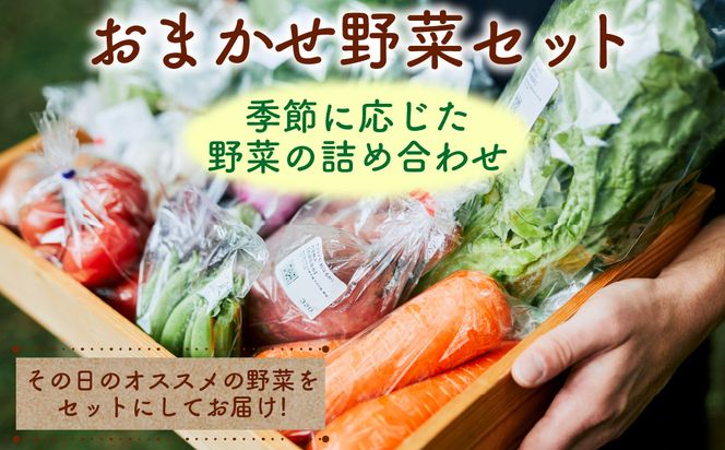 ns087-002 おまかせ野菜セット