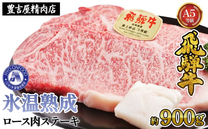 y򕌌Rsz[XXe[L 5i900gj@X(R)n@ˋ`T Lbht[Y [No.533]