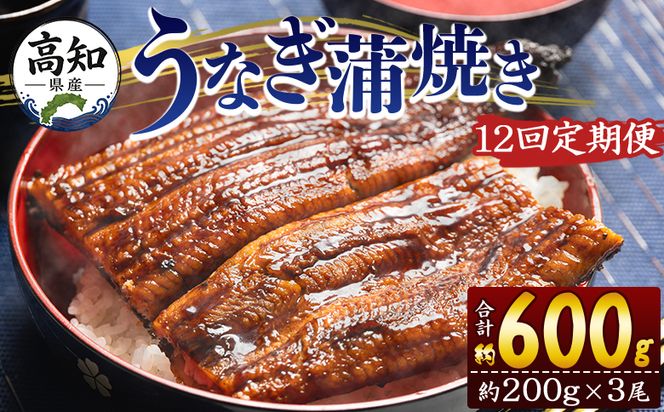 定期便 うなぎ 蒲焼き 約200g 3尾 12回 高知県産 養殖 魚介 国産 海鮮 魚 かばやき 鰻 ウナギ 惣菜 おかず お手軽 加工品 加工食品 冷凍 Wfb-0056