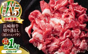 【訳あり】【A4〜A5】長崎和牛切り落とし 1kg（250g×4p）/ 牛肉 ぎゅう肉 和牛 / 南島原市 / 株式会社MEAT PLUS[SHG038]