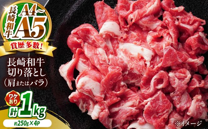 【訳あり】【A4〜A5】長崎和牛切り落とし 1kg（250g×4p）/ 牛肉 ぎゅう肉 和牛 / 南島原市 / 株式会社MEAT PLUS[SHG038]