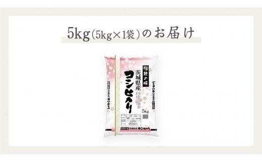 《 令和7年産 》 茨城県産 コシヒカリ 5kg ( 5kg × 1袋 )  期間限定 こしひかり 米 コメ こめ 五ツ星 高品質 白米 精米 時短 単一米 [AC039us]