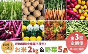 【全3回定期便】【☆畑直送☆栽培期間中農薬不使用！】お 米 2kg & 野菜 5品 の セット 糸島市 / オーガニックナガミツファーム 	[AGE036]