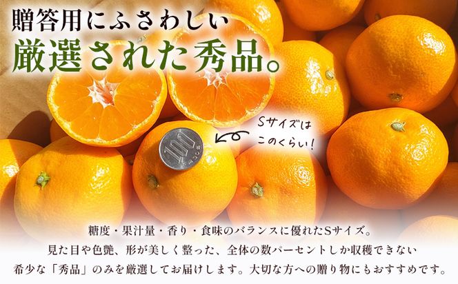 【贈答用】山北みかんSサイズ限定 3.0kg sq-0005