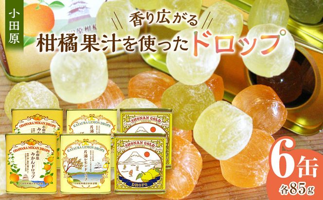 【小田原のフルーツ果汁を使ったドロップ3種類×2個セット】口に入れるとフルーツの香りが広がるドロップ。【 ドロップ 神奈川県 小田原市 】 142069_CW057