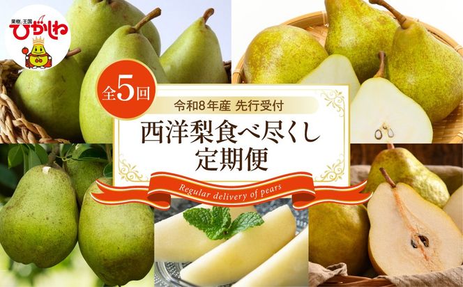 【2026年産 5回定期便】西洋梨食べ尽くし定期便 山形県 東根市 東根農産センター提供 hi027-201-r8