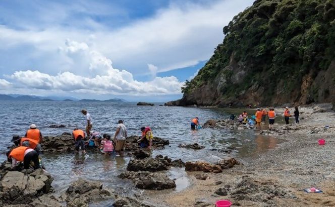 海洋体験施設うみんぐ大島 磯観察1名様分【(㈱)むなかた大島】_HA2026 体験 チケット 福岡県宗像市 宗像市 福岡 宗像
