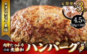 鹿追産　自然放牧黒豚　肉汁たっぷり無添加ハンバーグセット　3ヶ月定期便　150ｇ×10 SKN020