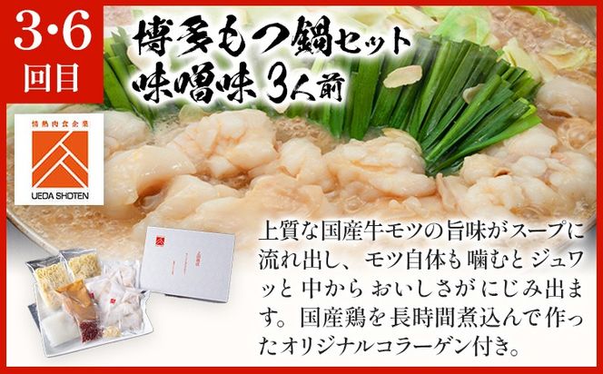 「上田商店」おすすめ定期便 【隔月定期便（年6回発送）】 水炊き もつ鍋 モツ鍋 セット ありた鶏 ぶつ切り ぶつ切 醤油 しょうゆ 味噌 みそ ちゃんぽん 博多 専門店 2人前 3人前 福岡県 福岡 九州 グルメ お取り寄せ