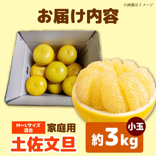 【先行予約】土佐文旦 小玉 家庭用 約3kg （M～L：7～9玉入り） 文旦 ぶんたん ブンタン 柑橘 フルーツ デザート 果物 ご当地 人気 名産＜2027年1月中旬～順次発送＞【玉木農園】