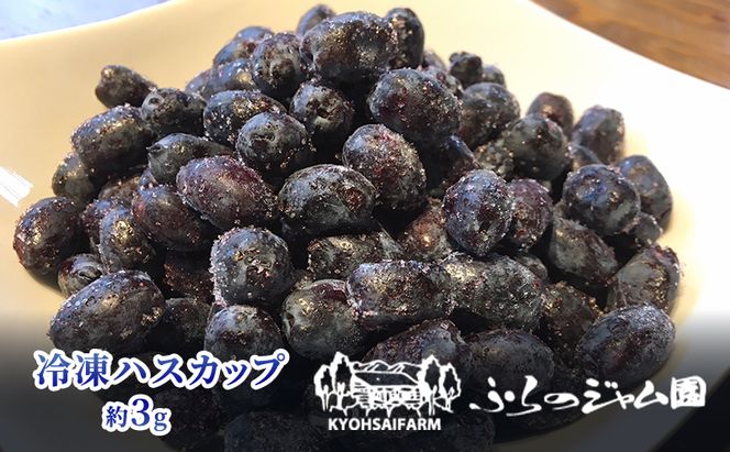 ◆ふらのジャム園◆ 冷凍 ハスカップ 10袋セット ( 果物 フルーツ 冷凍食品 新鮮 産地直送 北海道 道産 富良野 )