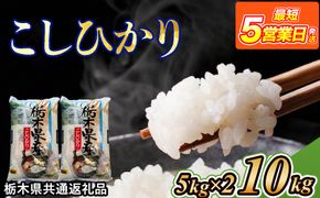 米 コシヒカリ 10kg(5kg×2) 栃木県産【栃木県共通返礼品】