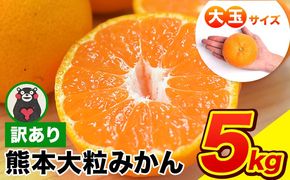 ご家庭用 熊本 大粒みかん 約5kg (3L～5Lサイズ)大玉 みかん 先行予約 熊本 ちょっと 訳あり 傷 たっぷり 熊本県産 熊本県 期間限定 フルーツ 旬 柑橘 長洲町 大粒みかん《2025年1月中旬-2月末頃より出荷予定》---fn_notbmkn_bc1_25_8000_5kg---