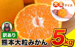 ご家庭用 熊本 大粒みかん 約5kg (3L～5Lサイズ)大玉 みかん 先行予約 熊本 ちょっと 訳あり 傷 たっぷり 熊本県産 熊本県 期間限定 フルーツ 旬 柑橘 長洲町 大粒みかん《2026年1月中旬-2月末頃出荷》---fn_notbmkn_bc1_r7_7500_5kg---