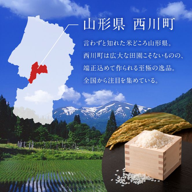 【9月後半発送】令和7年度 山形県産 つや姫 10kg(5kg×2) 無洗米 精米 白米 ご飯 ごはん 国産 ブランド米 つやひめ 節水 節水 時短 冷めてもおいしい お取り寄せ 食品 山形県 西川町 月山  FYN2-531