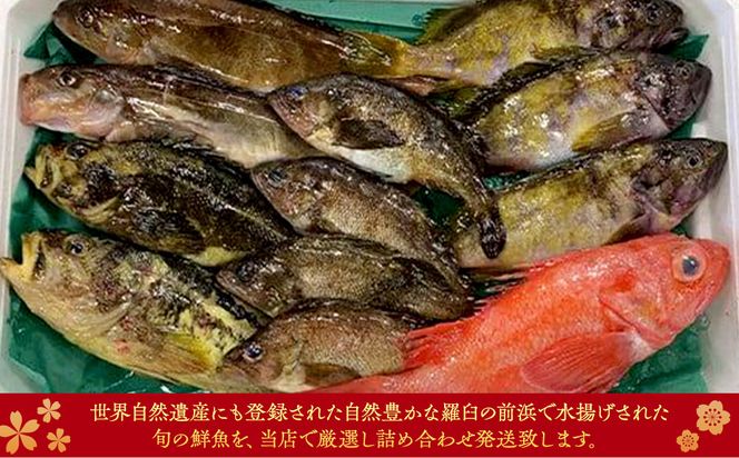 知床羅臼産 鮮魚詰め合わせB　約5kg 魚 さかな 旬の魚 鮮魚 羅臼町 北海道 生産者 支援 応援 016942_AE046