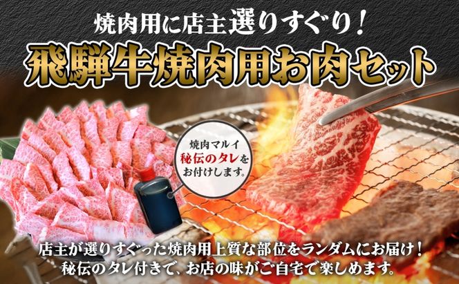 飛騨牛 焼肉用 約500g（約250g×2パック） A4～A5等級使用 焼肉 肉 牛 牛肉 お肉 国産 和牛 国産牛 BBQ お取り寄せ 冷蔵 送料無料 焼肉マルイ 岐阜県 安八町