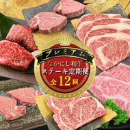 【定期便 全12回】宮崎県西ノ原牧場・なかにしプレミアム和牛ステーキ定期便（牛肉 黒毛和牛 ステーキ サーロイン モモ 定期便 A4 A5）