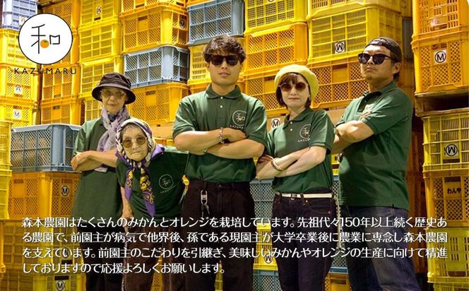 贈答用 森本農園の手選別 津の輝 約3kg 和歌山県産 L～2Lサイズ［北海道・沖縄・離島配送不可］［RN142］ 303446_DJ90142