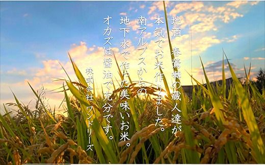 【令和７年度産先行予約】ヒノヒカリ 10kg ※11月以降順次発送予定　精米済み 新米 ひのひかりお米 精米 １０キロ 米 ライス こめ おこめ １０kg