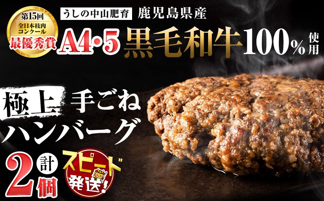 [入金確認後、2週間以内に発送][A4・A5等級]鹿児島県産黒毛和牛100%使用極上ハンバーグ計300g(150g×2個) p9-035-2w