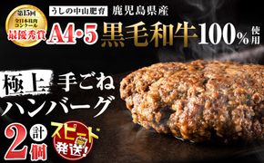 【志布志市制20周年記念】【入金確認後、2週間以内に発送】＜A4・A5等級＞鹿児島県産黒毛和牛100%使用極上ハンバーグ計300g(150g×2個) p8-152-2w