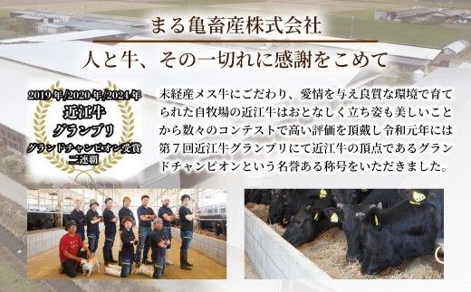 近江牛ヒレ　ステーキ・焼肉用（100ｇ×2枚）【FK18W】