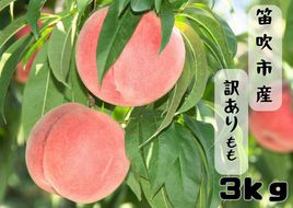 【2026年発送★先行予約】笛吹市産訳あり桃 約3kg 167-026-26y