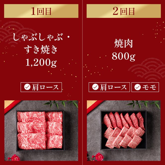 肉【定期便全6回】【和牛セレブ】能登牛 定期便「ファーストクラス」特選 しゃぶしゃぶ すき焼き 焼肉 ステーキ ギフト 石川県 能美市 172111_DB046