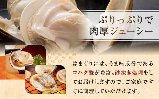 大洗産鹿島灘天然はまぐり 5kg 冷蔵 漁協直送 お吸い物 ハマグリ 蛤 貝 砂抜き処理 魚介類 大洗産 天然 はまぐり