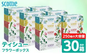 【スコッティ】 ティシュー フラワーボックス 250組 30箱 ティッシュ 日用品 生活必需品 消耗品 紙 まとめ買い 備蓄 防災備蓄 デザインボックス ストック 新生活 防災 生活用品 日用消耗品 箱ティッシュ