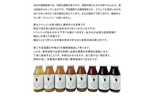 幸田町産ぶどう使用（無添加、無糖、無加水）100％ジュース 多種類 6本詰め合わせ 180ml×6本 合計1080ml ｜ ぶどうジュース 葡萄ジュース 巨峰 デラウェア 甲斐路 ベリーA セミヨン ナイアガラ アレキサンドリア コンコード 種ぶどう 愛知県 幸田町